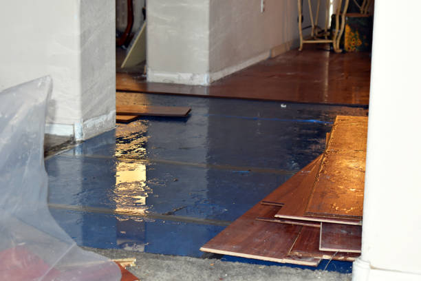 Professional Basement Water Removal technician working in Traverse City, MI